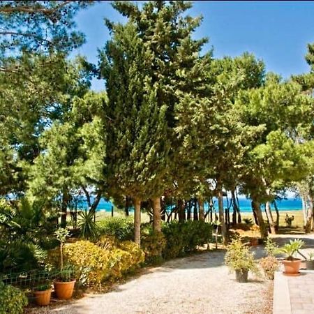 Appartamento I Tramonti Di Cofano Castelluzzo Exterior foto