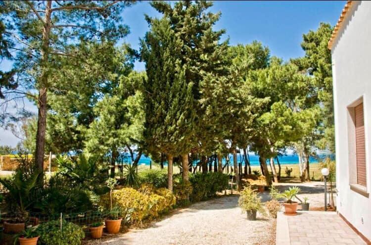 Appartamento I Tramonti Di Cofano Castelluzzo Exterior foto