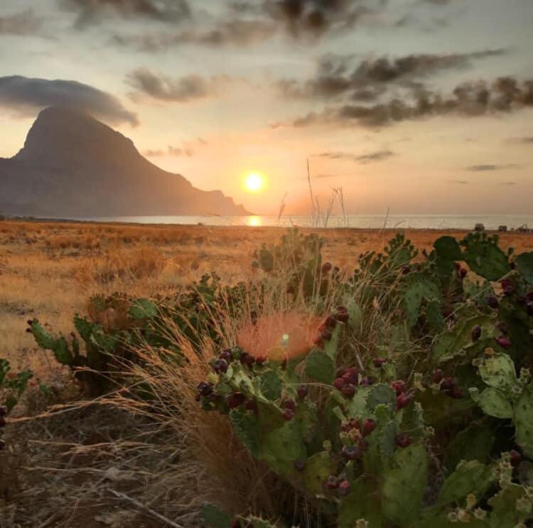 Appartamento I Tramonti Di Cofano Castelluzzo Exterior foto