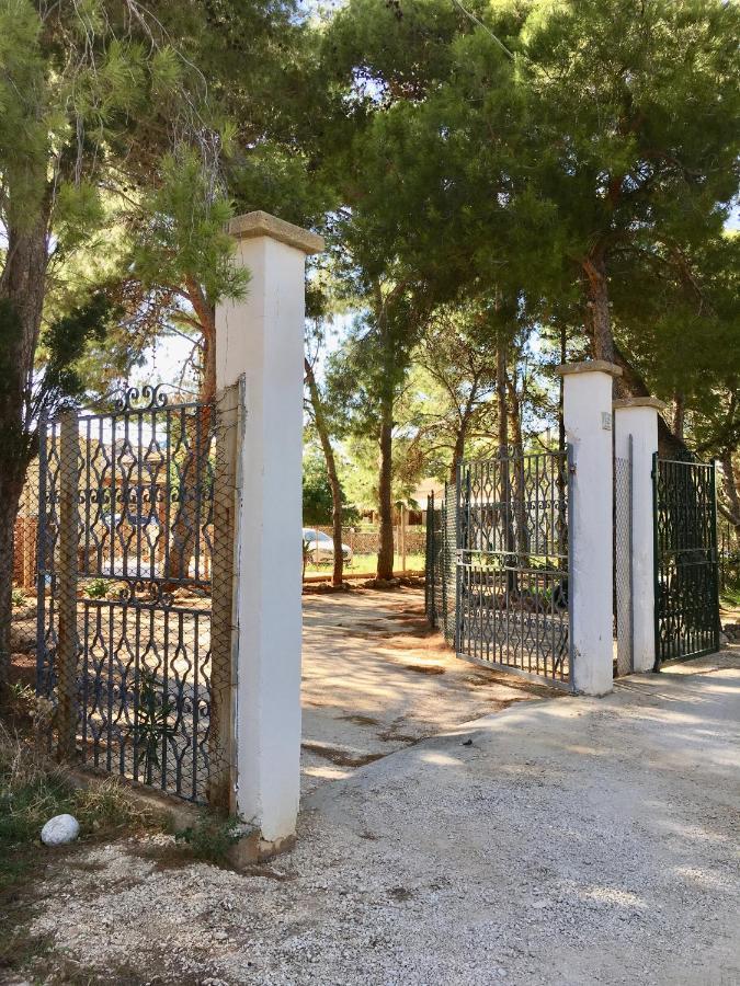 Appartamento I Tramonti Di Cofano Castelluzzo Exterior foto
