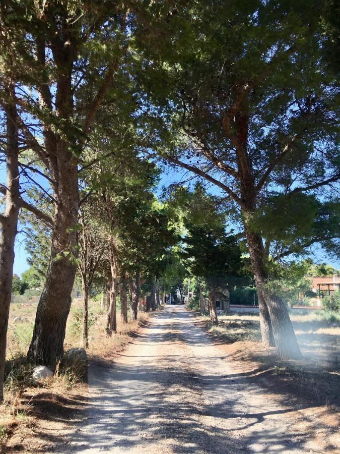 Appartamento I Tramonti Di Cofano Castelluzzo Exterior foto