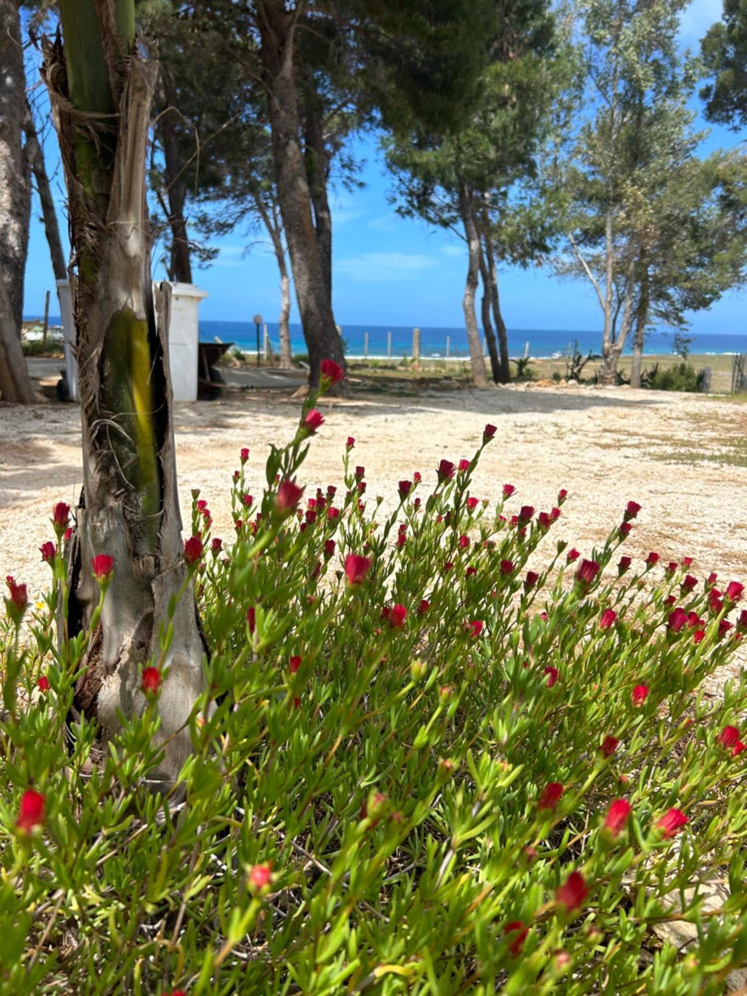 Appartamento I Tramonti Di Cofano Castelluzzo Exterior foto